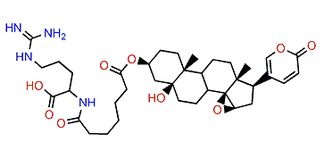 3-(N-Pimeloyl argininyl)-marinobufagin